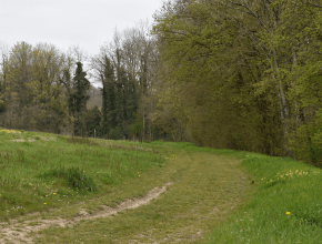 Agrandir l’image