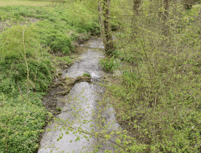 Agrandir l’image