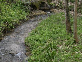 Agrandir l’image