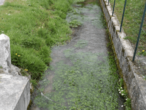 Agrandir l’image