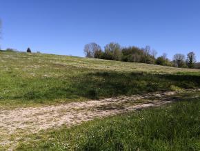 Agrandir l’image