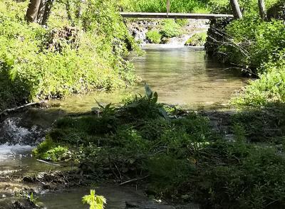 Petits pont sur l'eau