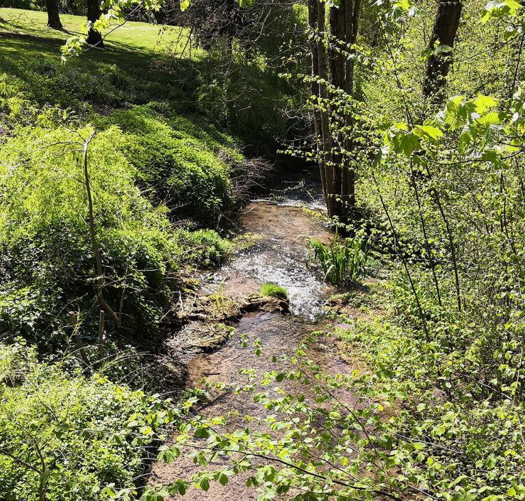 Ruisseau