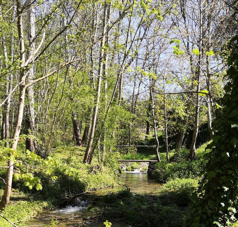 Petit pont