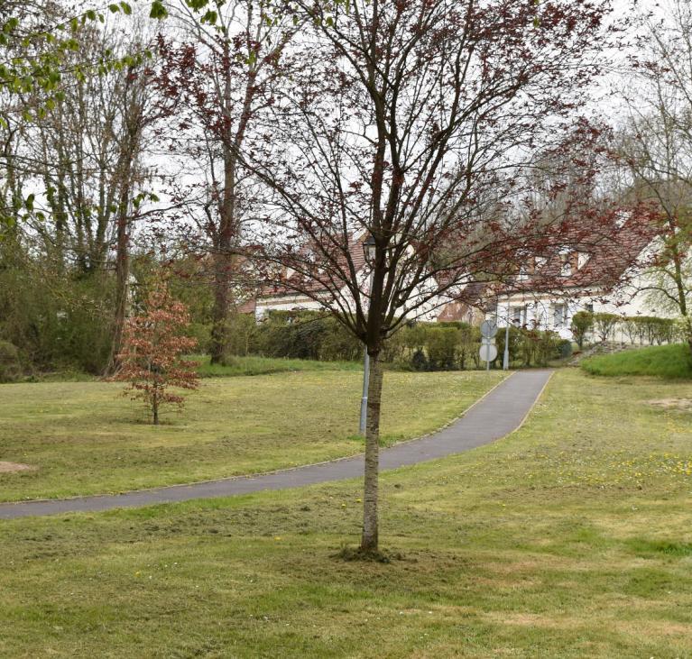 Maisons derrière arbres