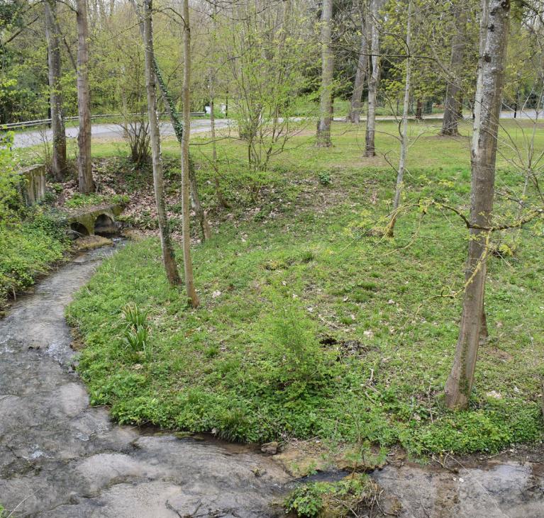 Ruisseau